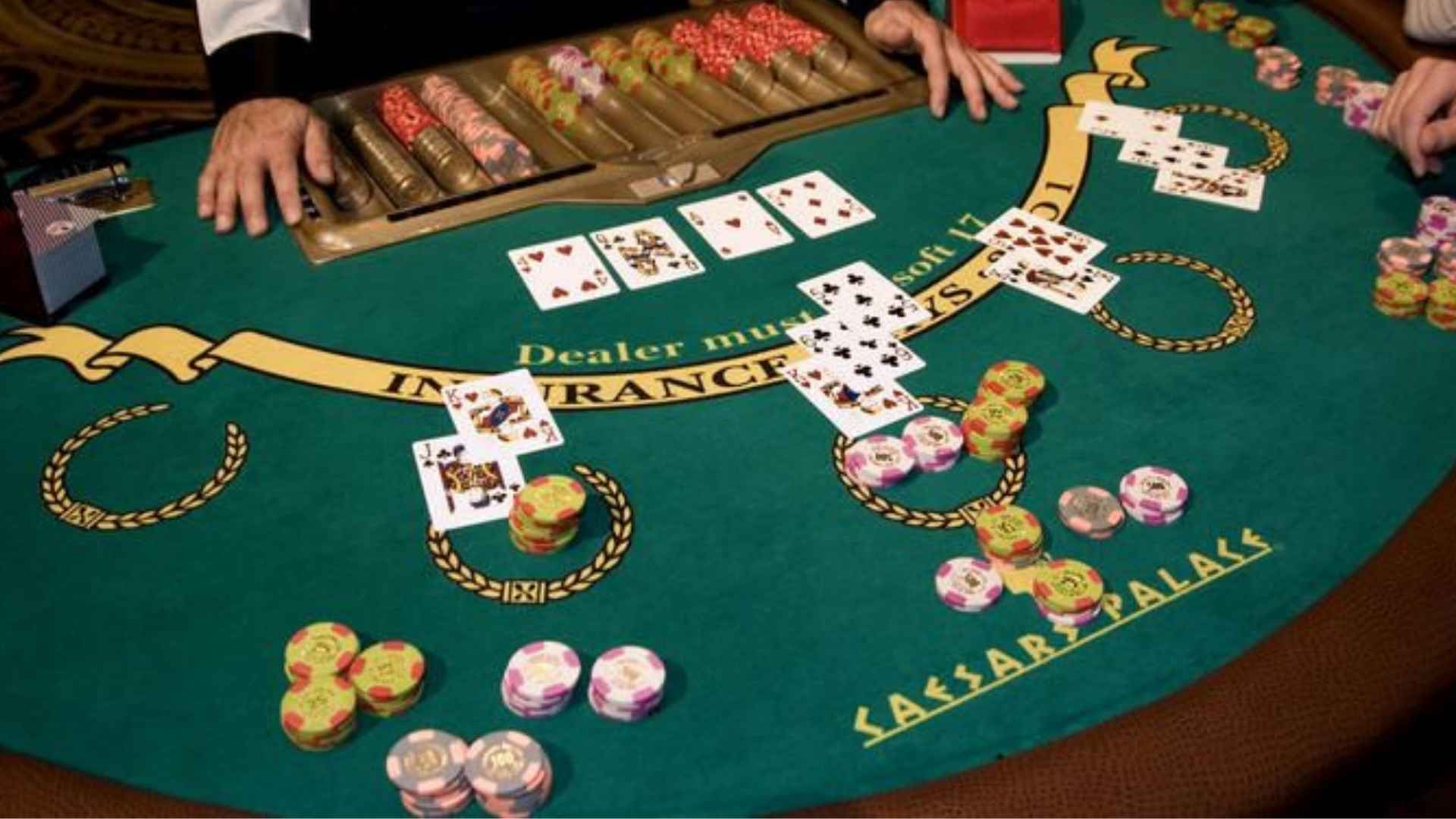 Bridge Games Planning That Strengthens Every Tournament Experience